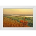 thumbnail image 1 of Adamov, Alexey 14x10 White Modern Wood Framed Museum Art Print Titled - River Volga, 1 of 4
