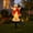 jesus, variant on Tropical Parrot Head Paradise Solar Garden Light - Wastin' Away Again Decorative Solar Stake Lights, Waterproof LED Tiki Landscape Pathway Lighting