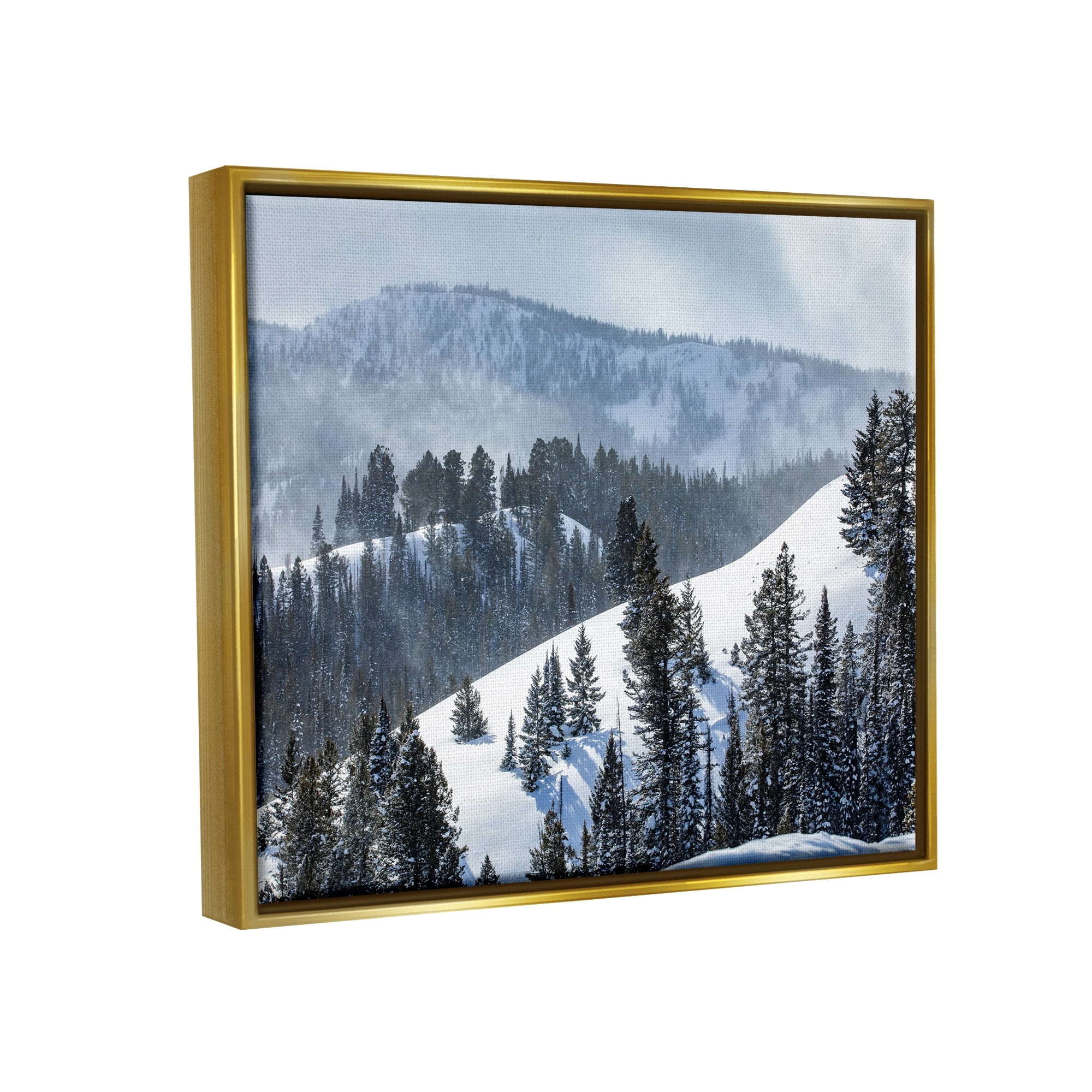 Stupell Industries Quiet Snowy Mountain Slopes Scattered Fir Trees Photograph Metallic Gold Floating Framed Canvas Print Wall Art, Design by Steve Smith