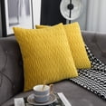 thumbnail image 3 of Juego de 2 fundas de almohada decorativas de terciopelo con textura, estilo lujoso, suave, estilo rústico, para sofá, dormitorio, 18 x 18 pulgadas, 3 of 7