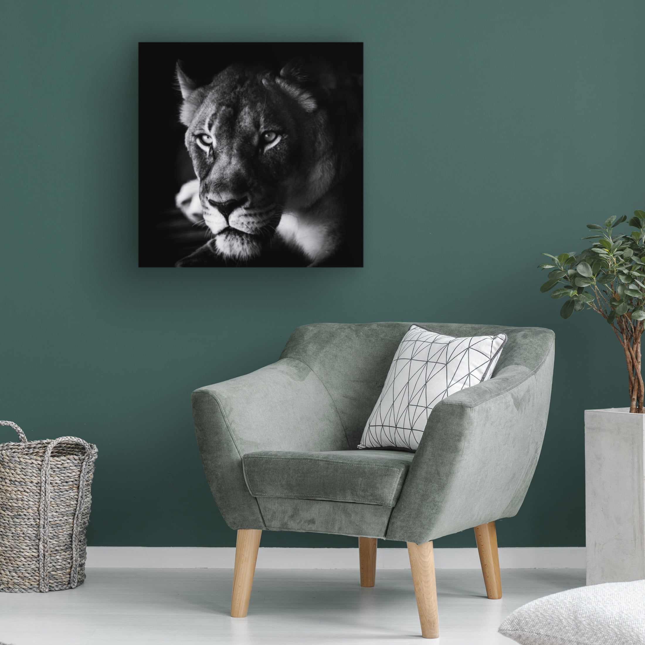 Canvas Wall Art - Jerry Berry 'The Look' Wall Art for Living Room, Bedroom, or Office D?cor by Trademark Fine Art - 35 x 35 Inches