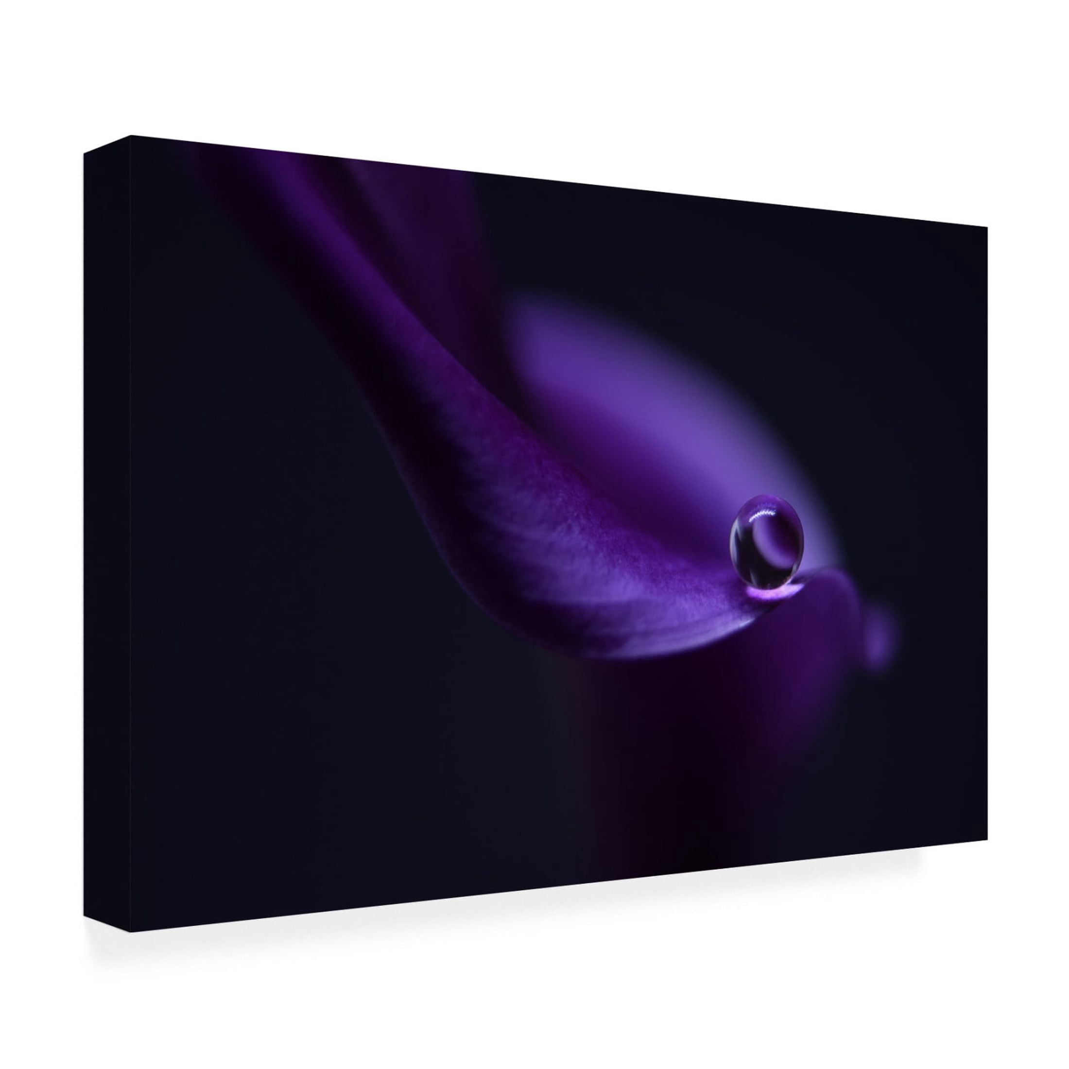 Canvas Wall Art - Heidi Westum 'Kala`S Pearl Ll' Wall Art for Living Room, Bedroom, or Office Décor by Trademark Fine Art - 32 x 22 Inches