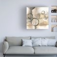 thumbnail image 2 of Trademark Fine Art 'Full Circle I' Canvas Art by Chris Paschke, 2 of 4