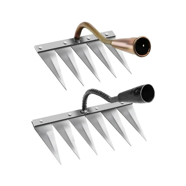 DOLITY 2 Pcs Herse Râteau de Désherbage Robuste pour Pelouse, Nivellement, Ameublissement du Sol pour le Travail 6 Dents Laiton 5 Dents