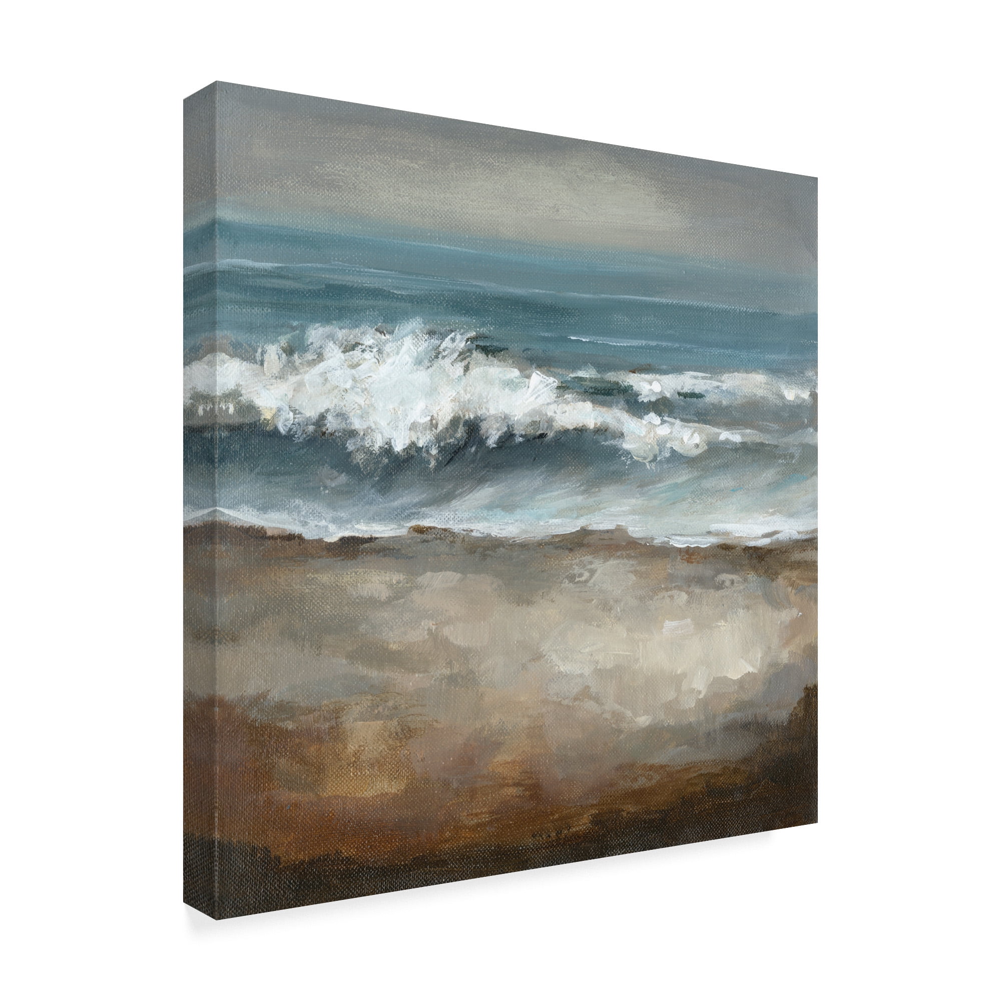 Trademark Fine Art 'Once in a While' Canvas Art by Christina Long