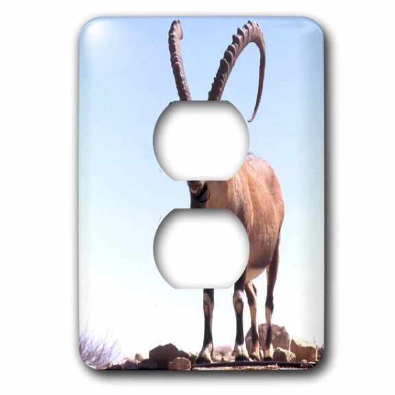 3dRose, Nubian Goat, 2 plug outlet cover