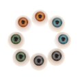 thumbnail image 2 of 8pc Half  Eyes Eyeballs DIY Halloween Prop Horror Doll Bear Animals Making 20mm, 2 of 7