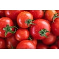 thumbnail image 6 of 1 Oz Bulk ITALIAN TREE TOMATO 'Trip L Crop' Seeds - 1 Ounce = Approx 9500 Seeds, 6 of 10