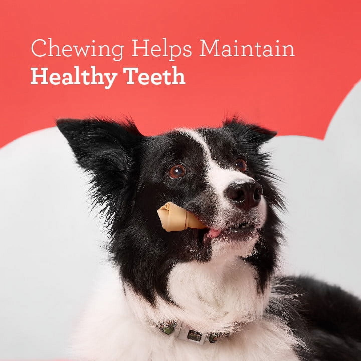 DreamBone Small Chews with Real Chicken, Rawhide-Free Chews for Dogs, 10 Count