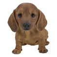 thumbnail image 3 of Brown Dachshund Sitting Statue, 3 of 5