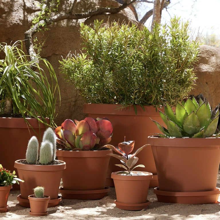 Bloem Terracotta Terra Pot Planter - 20"