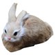 thumbnail image 1 of ZTGD Lindo 15cm Mini Conejo de Peluche de Simulación Realista Juguete Animal Modelo de Conejito Regalo, 1 of 6