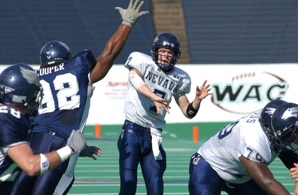 Football Offense Defense Pass Rush Quarterback20 Inch By 30 Inch