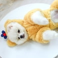 thumbnail image 6 of Frogued Cotton Plush Pet Fall Winter Dog Cute Cartoon Flower Pattern Warm Clothes Jacket (L), 6 of 13