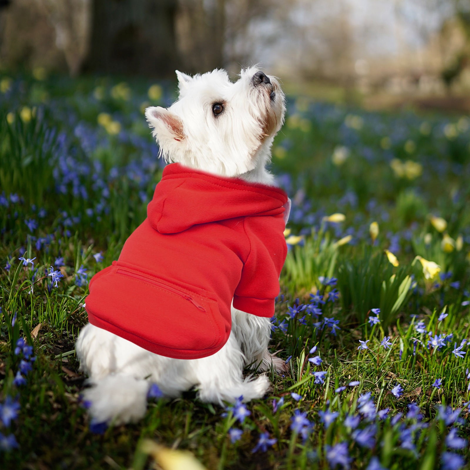 small designer dog clothes