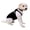 Black, variant on PRODOGG™ Anti-Anxiety Compression Shirt - Small - Medium 159101A by InstantFigure INC