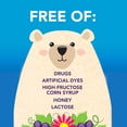 thumbnail image 4 of Vicks Botanicals Kids Cough Syrup Liquid, Daytime Cough Medicine for Children, Berry, 4 fl oz, 4 of 13