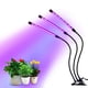 thumbnail image 1 of Lámpara De De Sincronización De Cabezal USB 3, Chips LED Con Espectro Rojo / Azul Para Plantas De Interior, Cuello De Cisne Ajustable, Tempori Soledad 3 Head LED crece la luz, 1 of 7