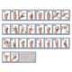 North Star Teacher Ressource Alphabet en Langue des Signes Américaine Ligne de Numéro dans le Jeu de Bord – image 1 sur 2