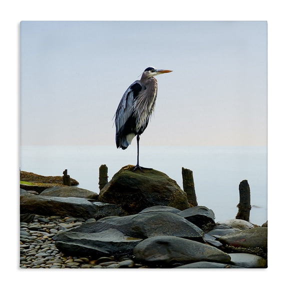 Stupell Industries Cottage Beach Heron Ocean Bird Canvas Art, 17 x 17, by James McLoughlin