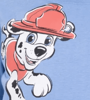 PAW Patrol Silver Lake Blue