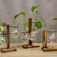 thumbnail image 4 of Simple creative glass vase wooden frame hydroponic vase (C style), 4 of 5