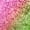 #2 ROSE GARDEN, variant on FOCALLURE Chameleon Liquid Eyeliner,Intense Color Shifting Eyeliner PenSmudge-proof,Longwearing with Ultra-Fine Tip,SUPERSONIC