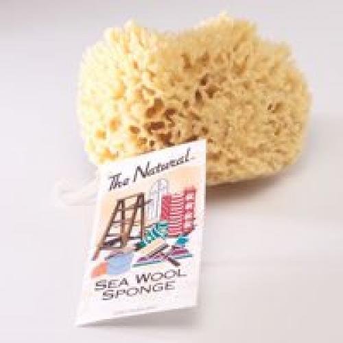 Acme Sponge & Chamois SW15060C Seawool Sponge 5 6 In.1 Cut Walmart