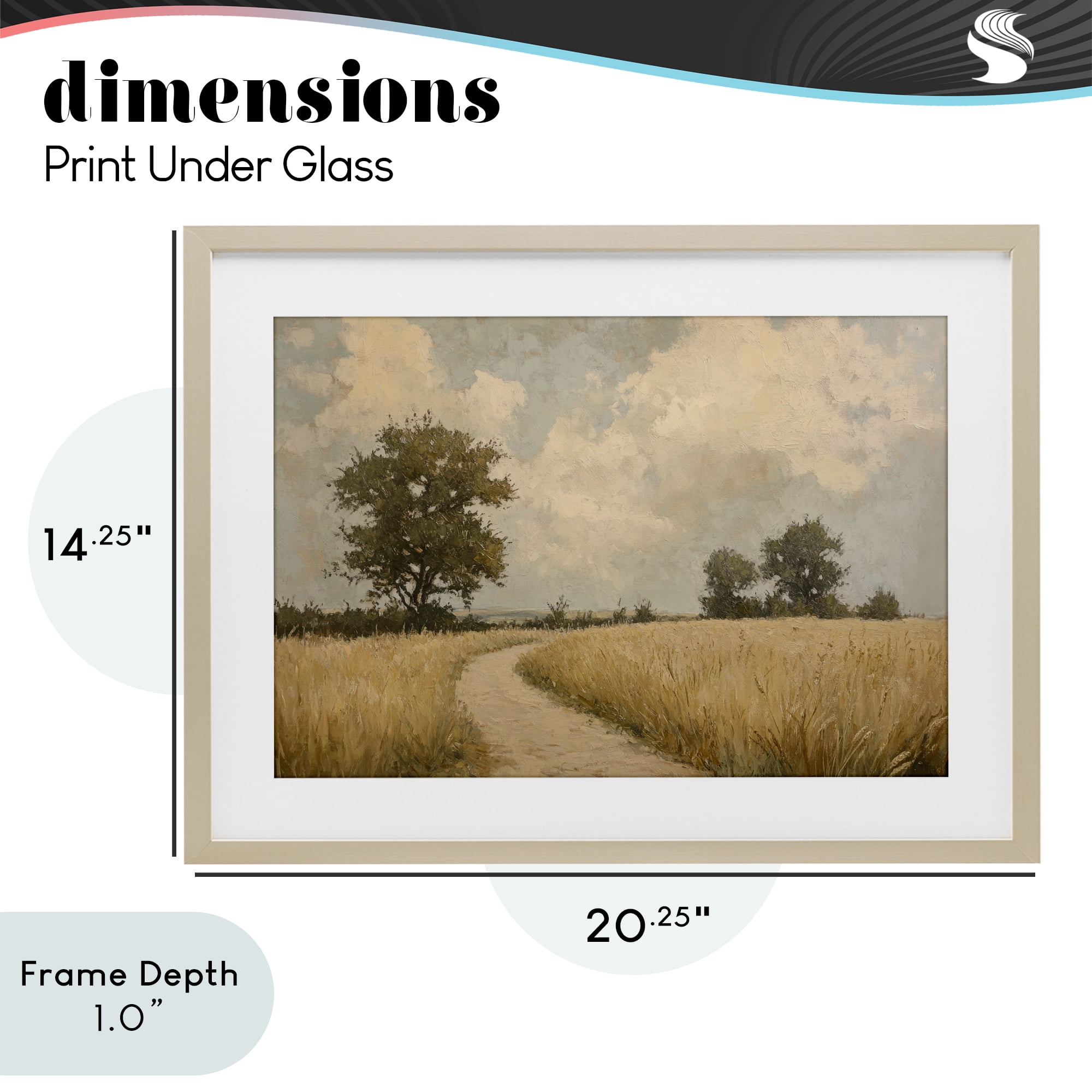 Stupell Industries Soft Field of Wheat Birch Framed Print Under Glass, design by Petal Prints Design