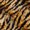 Dark Brown Orange 02, variant on Manfei Graffiti Tiger Twin Bedding, Abstract Zebra Print Bedding Comforter Set, White Gray, Black Reversible, 7pcs