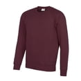 thumbnail image 1 of AWDis Academy Mens Crew Neck Raglan Sweatshirt, 1 of 2