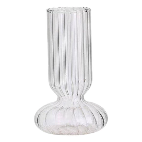 HomArt Glass Bulb Vase Tall Clear Cultivating Bulbs Unique Shape High Quality Glass Green Thumbs