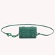 thumbnail image 4 of Mini Bolso Cruzado para Mujer Bolso Pequeño Piel Sintética Con Pintalabios Bolso Diario para Mujer (verde), 4 of 9