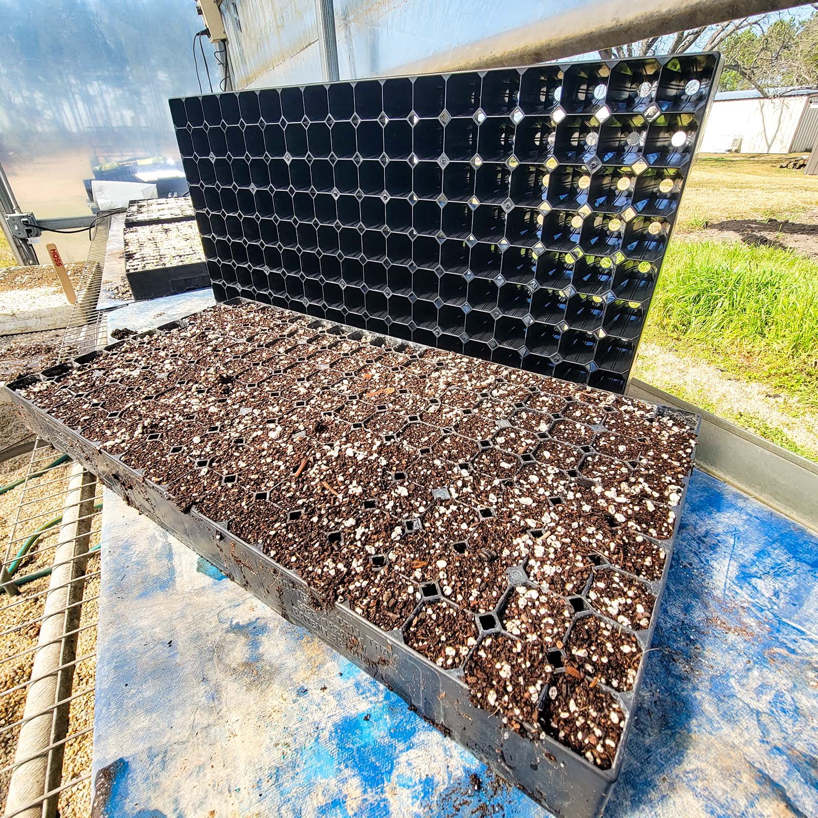 162-Cell Seed Starting Tray | Heavy- Duty Seed Starting Tray | USA MADE!