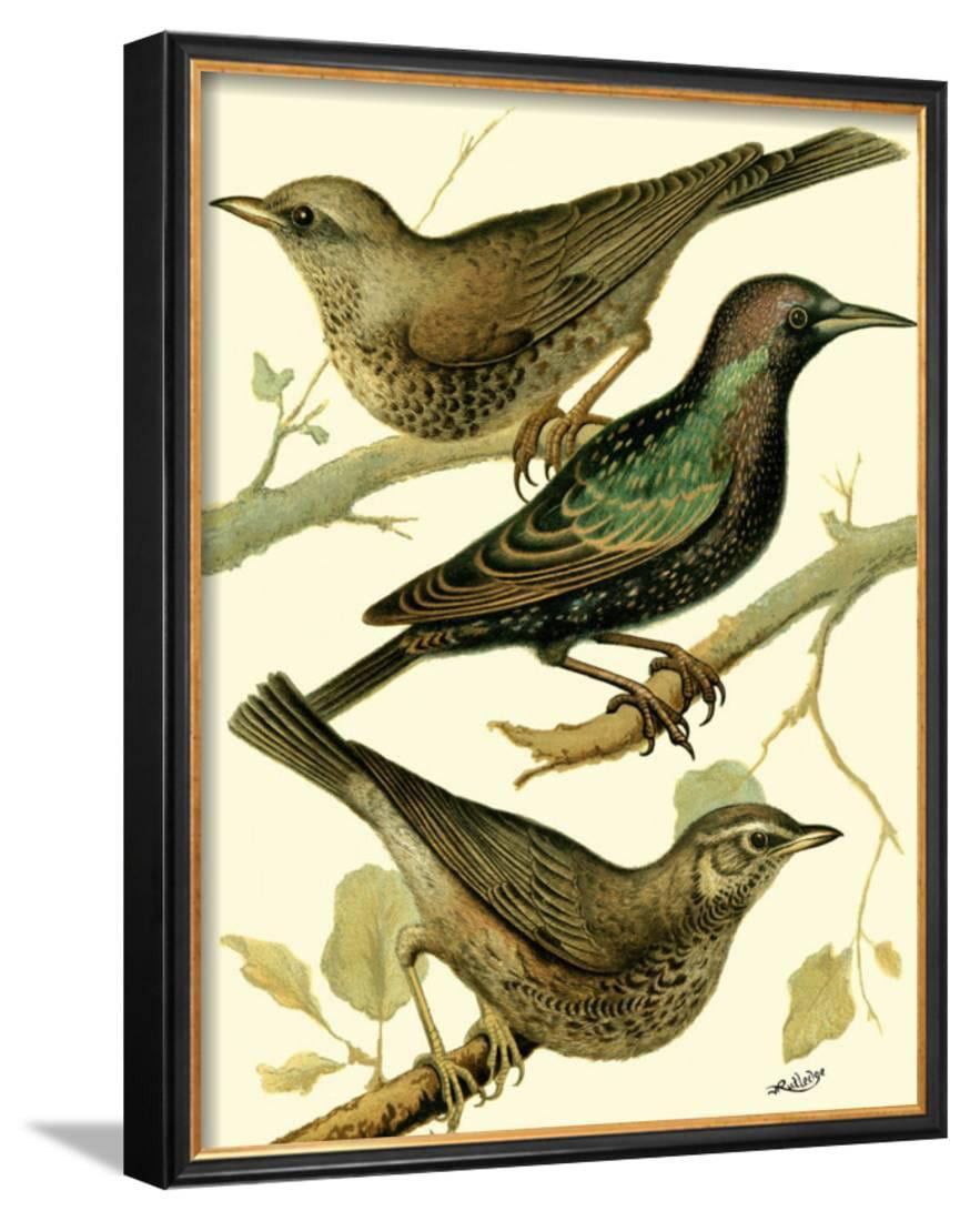 Art Print of Vintage Art Love Birds by W Rutledge