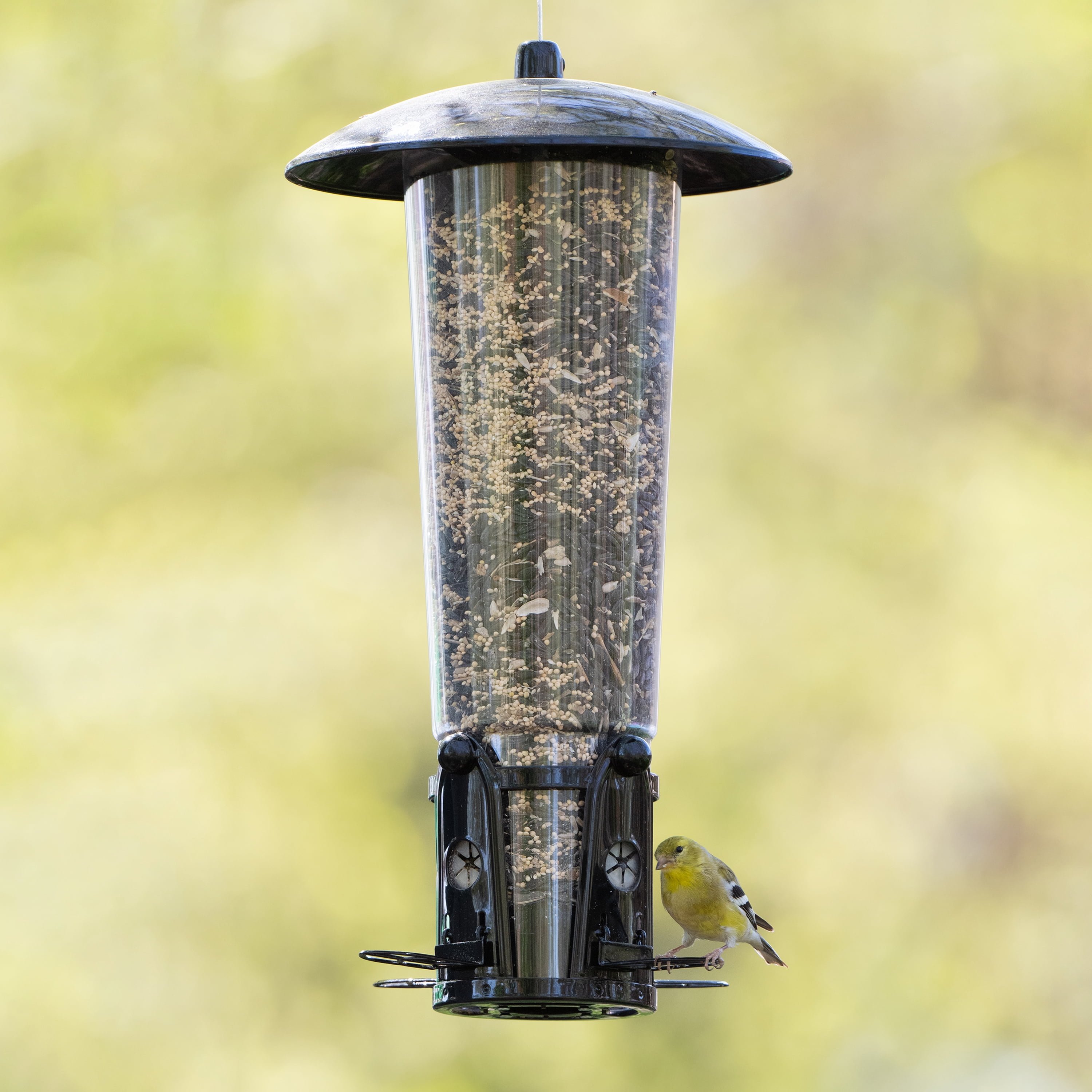 Perky-Pet Black Squirrel-Be-Gone Max Wild Bird Tube Feeder with Flexports – 3 lb