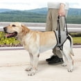 thumbnail image 2 of Dog Rear Leg Lifting Harness Comforable Soft Padded Senior Dog Leg Support Brace, 2 of 10