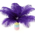 thumbnail image 3 of 10 Pack Natural Ostrich Feathers, 10-12 in (25-30 cm) Crafts DIY Plume Feather for Centerpieces Home Wedding Party Table Decoration - Purple, 3 of 7