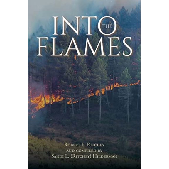 Into the Flames (Paperback)