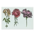 thumbnail image 1 of Floral Cutting Board, Various Rose Flowers Types Illustration Plain Background, Decorative Tempered Glass Cutting and Serving Board, in 3 Sizes, by Ambesonne, 1 of 2