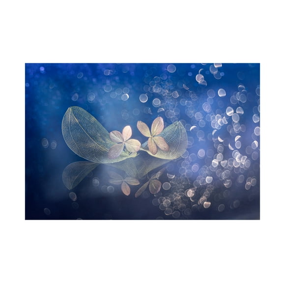 Canvas Wall Art - Igor Kopcev 'Fairytale Fantasy' Wall Art for Living Room, Bedroom, or Office Décor by Trademark Fine Art - 19 x 12 Inches