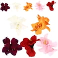 thumbnail image 3 of WASHWEPE 10 Pcs Barrettes à Fleurs Femmes Faciles à Porter Fleurs aux Cheveux Rouges pour Magasinage, 3 of 6