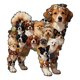 thumbnail image 2 of Rompecabezas interactivo de madera con almacenamiento, actividad mental para cachorros y adultos, 2 of 4
