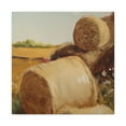thumbnail image 1 of Hay Bale in Moonlight - Canvas, 1 of 10