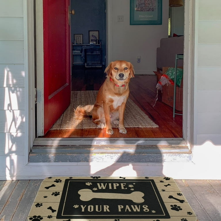 Wipe Your Paws Doormat, Dog Welcome Mat, Dog Decor, Funny Dog