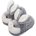 thumbnail image 1 of Zapatos de algodón para niños, pantuflas de felpa cálidas para el hogar, zapatos de mujer, 1 of 5