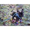 thumbnail image 3 of Step-in Cirque Dog Harness - Comic Sounds Large, 3 of 5