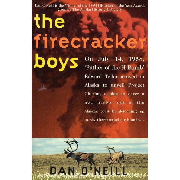 Pre-Owned The Firecracker Boys (Paperback) 0312134169 9780312134167