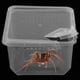 thumbnail image 3 of Caja de cría de plástico Colco para incubar Decoración de jaula Reparium Vivarium Terrarium, 3 of 8