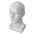 thumbnail image 3 of Men Mannequin Head PVC Display Stand Durable Styling for Game Console, Hats, Jewellery 13.4inch Tall Gloss White, 3 of 8